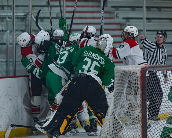 Varsity Hockey vs South Fayette (14 of 171)