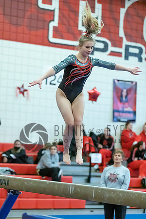 Moon Invitational - bars and beam (304 of 499)