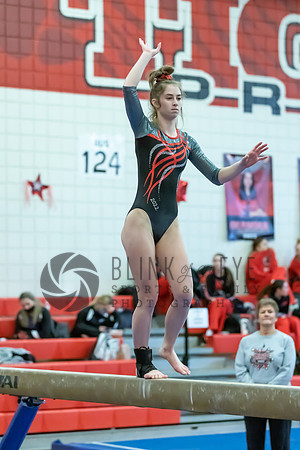 Moon Invitational - bars and beam (275 of 499)