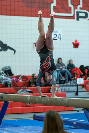Moon Invitational - bars and beam (226 of 499)