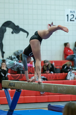 Moon Invitational - bars and beam (216 of 499)