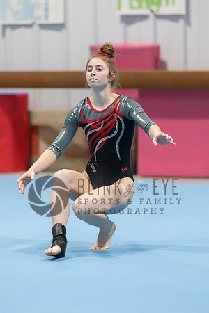 Senior Night Floor and Vault (120 of 599)