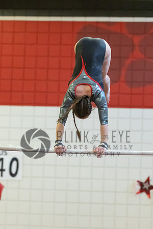 Moon Invitational - bars and beam (169 of 499)