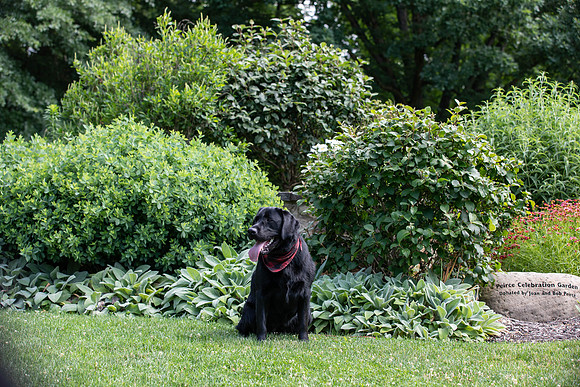 Botannical Gardens (32 of 40)