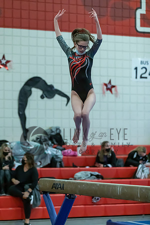 Moon Invitational - bars and beam (249 of 499)
