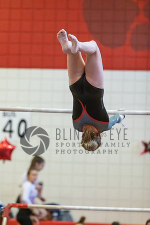 Moon Invitational - bars and beam (143 of 499)