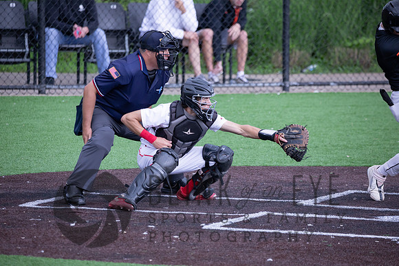 PIAA Quarterfinals (129 of 218)