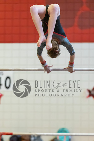 Moon Invitational - bars and beam (198 of 499)