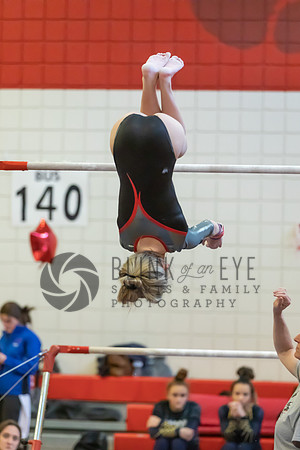 Moon Invitational - bars and beam (99 of 499)