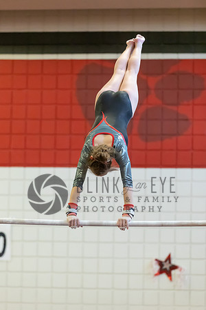 Moon Invitational - bars and beam (196 of 499)