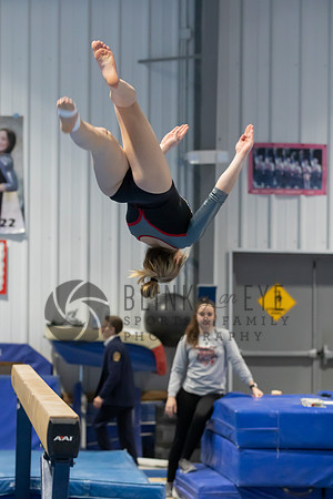 Balance Beam (100 of 213)