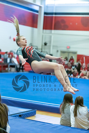 Moon Invitational - bars and beam (320 of 499)