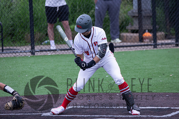 PIAA Quarterfinals (95 of 218)
