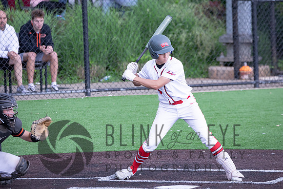PIAA Quarterfinals (134 of 218)