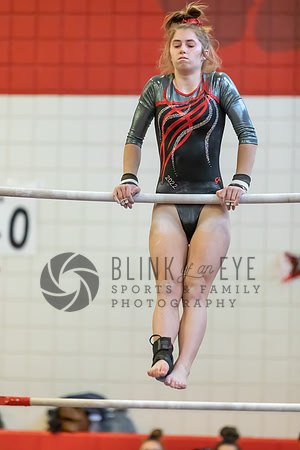 Moon Invitational - bars and beam (120 of 499)