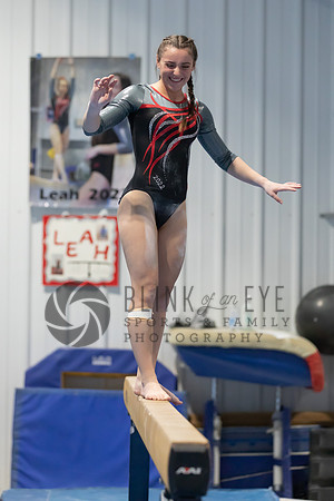 Balance Beam (126 of 213)