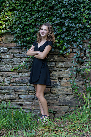 Ivy Covered Wall