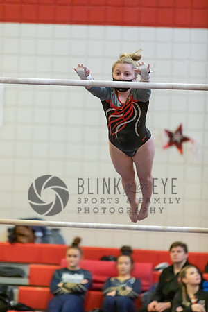 Moon Invitational - bars and beam (137 of 499)
