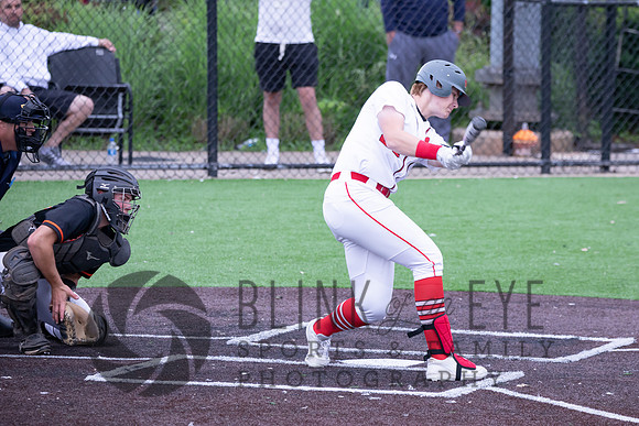 PIAA Quarterfinals (98 of 218)