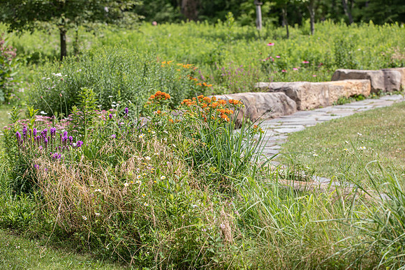 Botanic Gardens (17 of 40)