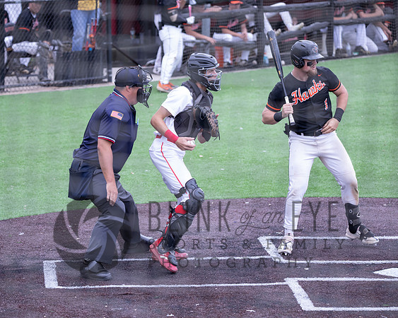 PIAA Quarterfinals (5 of 218)