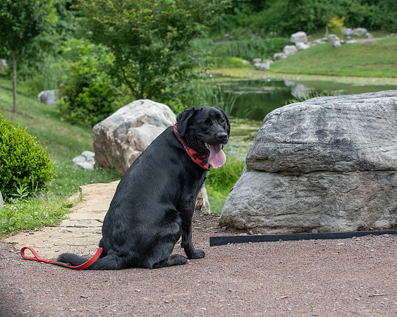 Botanic Gardens (2 of 40)