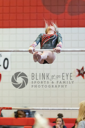 Moon Invitational - bars and beam (96 of 499)