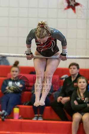 Moon Invitational - bars and beam (136 of 499)