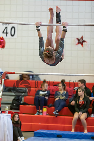 Moon Invitational - bars and beam (105 of 499)