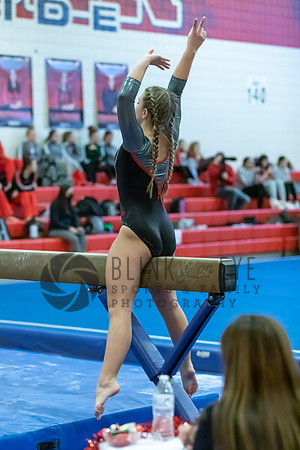 Moon Invitational - bars and beam (329 of 499)