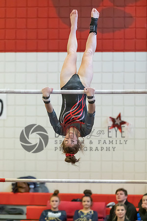 Moon Invitational - bars and beam (109 of 499)