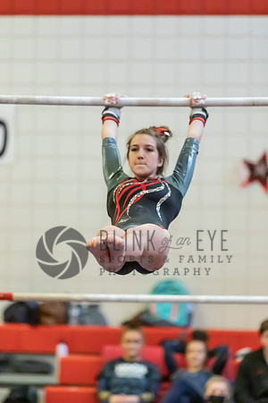 Moon Invitational - bars and beam (188 of 499)