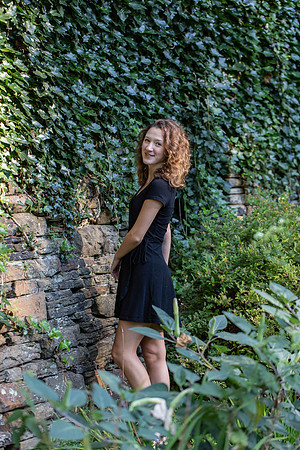 Ivy Covered Wall
