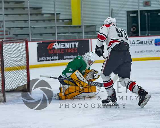 Varsity Hockey vs South Fayette (10 of 171)
