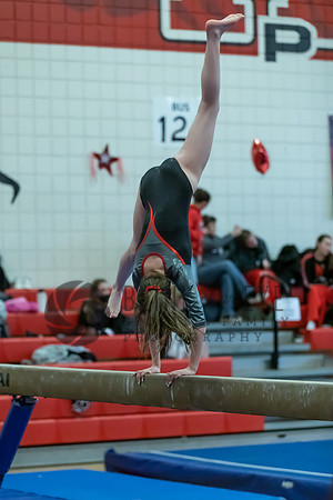 Moon Invitational - bars and beam (243 of 499)