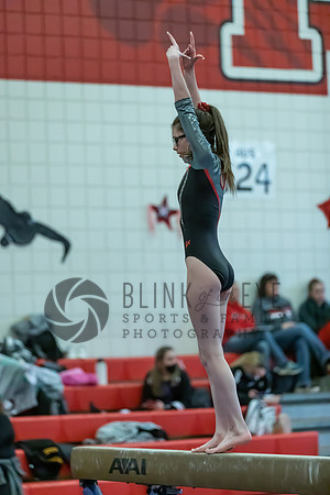 Moon Invitational - bars and beam (239 of 499)
