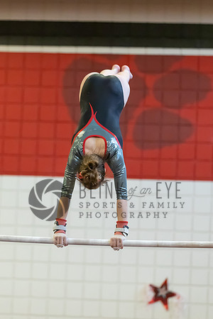 Moon Invitational - bars and beam (201 of 499)