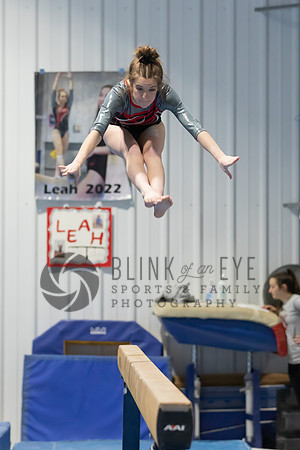 Balance Beam (162 of 213)
