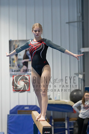 Balance Beam (78 of 213)