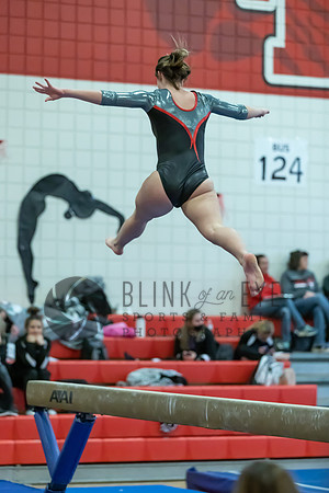 Moon Invitational - bars and beam (229 of 499)