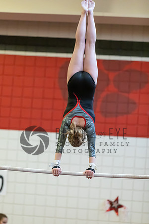 Moon Invitational - bars and beam (141 of 499)