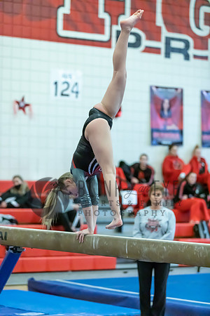 Moon Invitational - bars and beam (294 of 499)