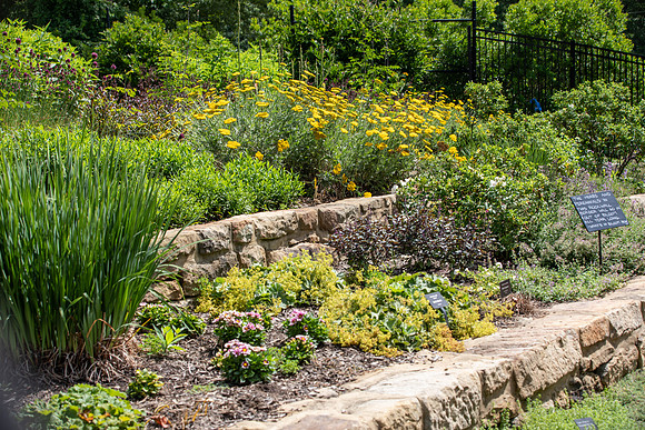 Botanic Gardens (33 of 40)