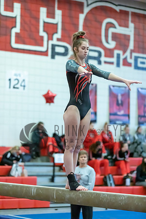 Moon Invitational - bars and beam (266 of 499)