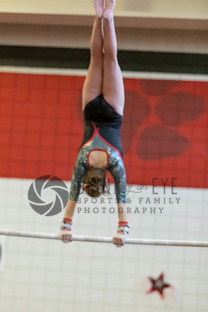 Moon Invitational - bars and beam (199 of 499)