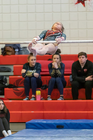 Moon Invitational - bars and beam (88 of 499)
