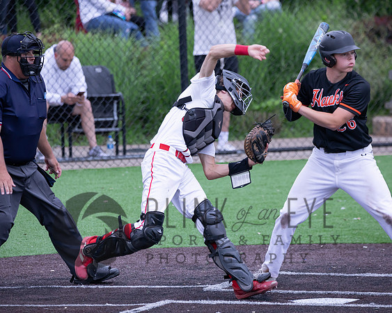 PIAA Quarterfinals (107 of 218)