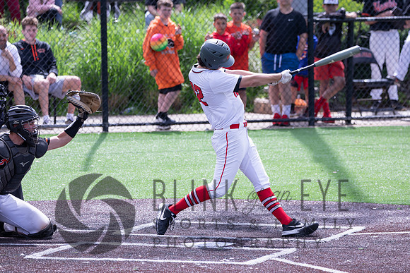 PIAA Quarterfinals (202 of 218)