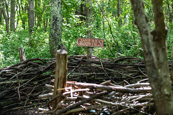 Botannical Gardens (12 of 40)