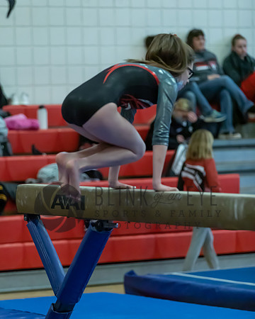 Moon Invitational - bars and beam (237 of 499)